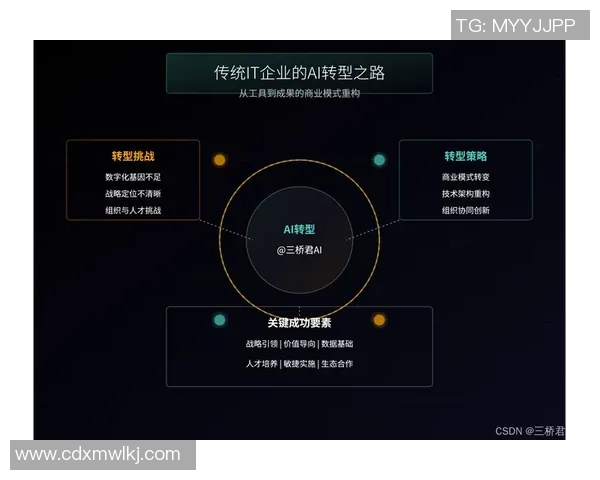 南京排球队转型之路：从传统强队到现代化竞技新标杆